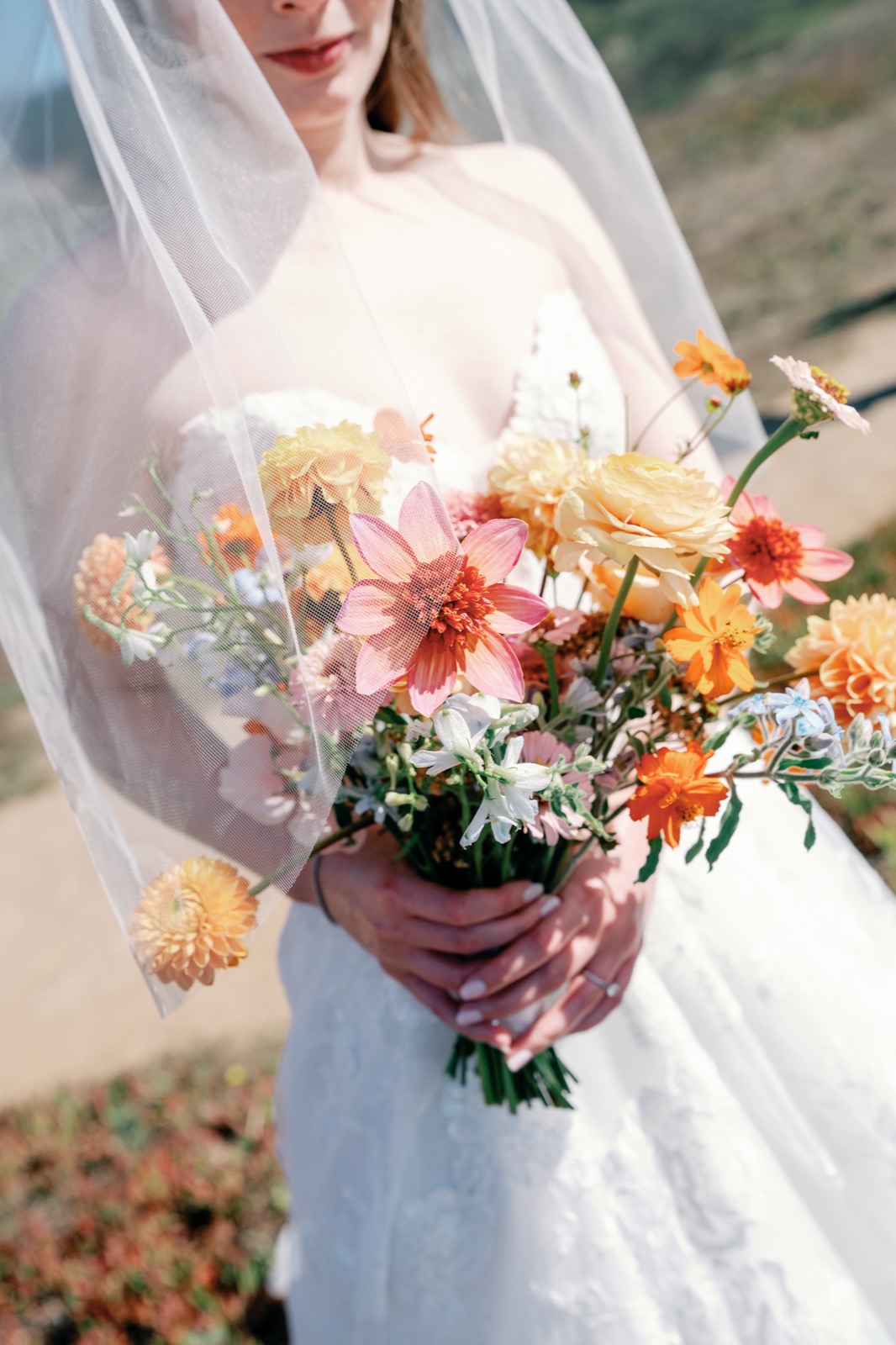 A Visual Anthropologist, wedding photographers